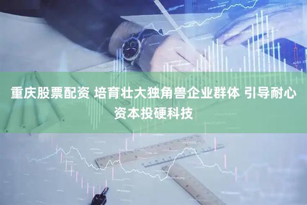 重庆股票配资 培育壮大独角兽企业群体 引导耐心资本投硬科技