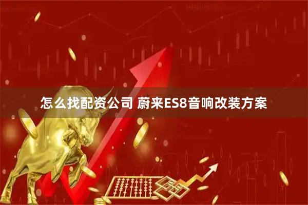 怎么找配资公司 蔚来ES8音响改装方案